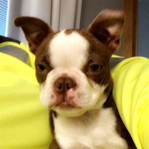 Meet your Posher, Becca